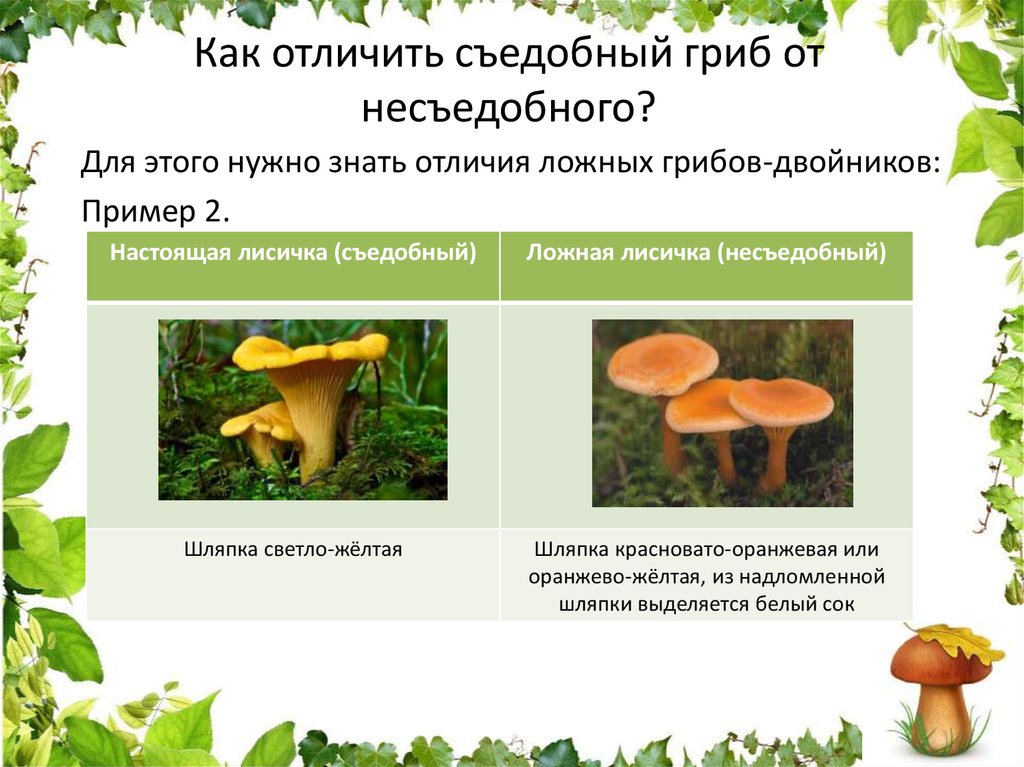 Как отличить съедобные. Отличие ядовитых грибов от съедобных. Как различить ядовитые и съедобные грибы. Отличие грибов от съедобных и ядовитых грибов. Грибы ядовитые и съедобные отличие.