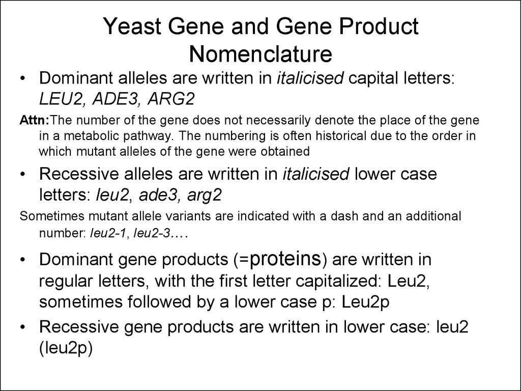 Yeast Genetics And Molecular Biology. Lecture I. Yeast Basics And ...