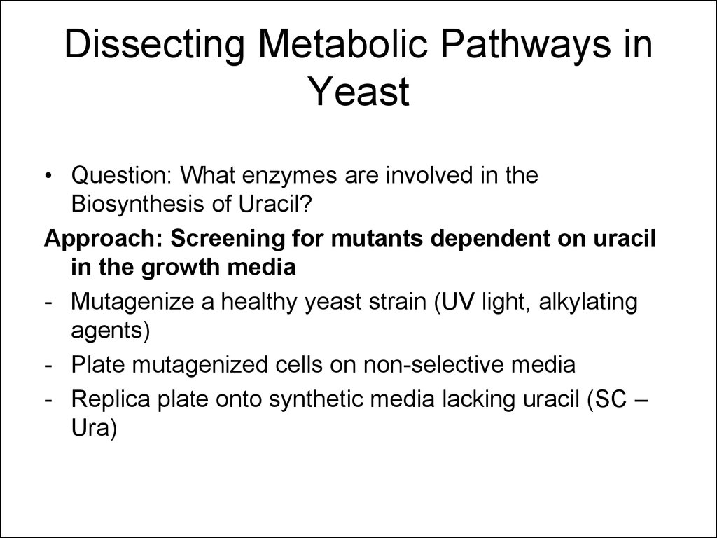Dissecting Metabolic Pathways in Yeast