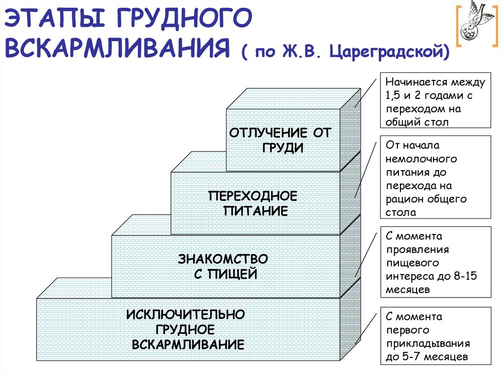 Схема отлучения от гв