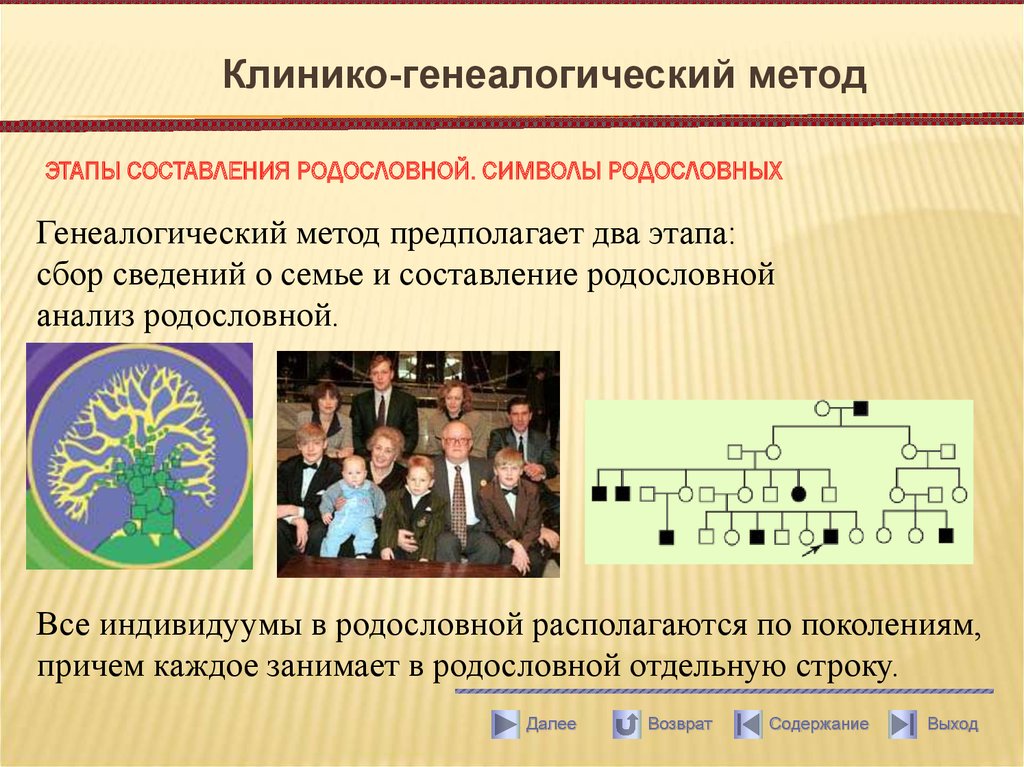 Семейный подход. Этапы клинико-генеалогического метода. Клиникогенеалогичесий метод. Клинико-генеалогический метод составление родословной. Генеалогический метод антропогенетики это.