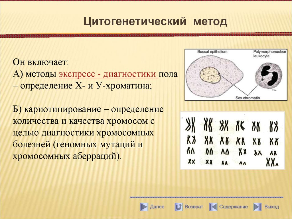 Цитогенетика это