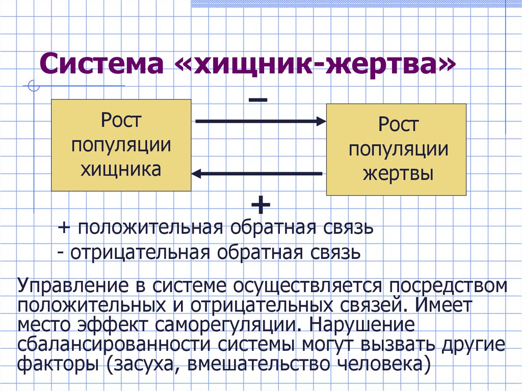 Отрицательная обратная связь презентация