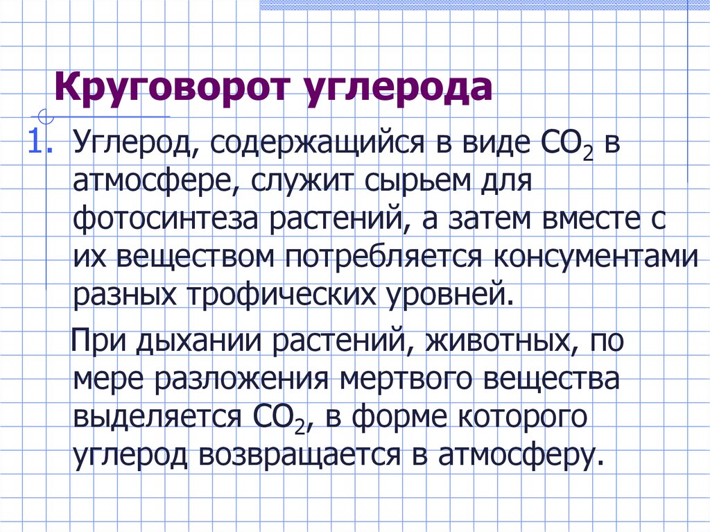 Круговорот углерода в природе презентация