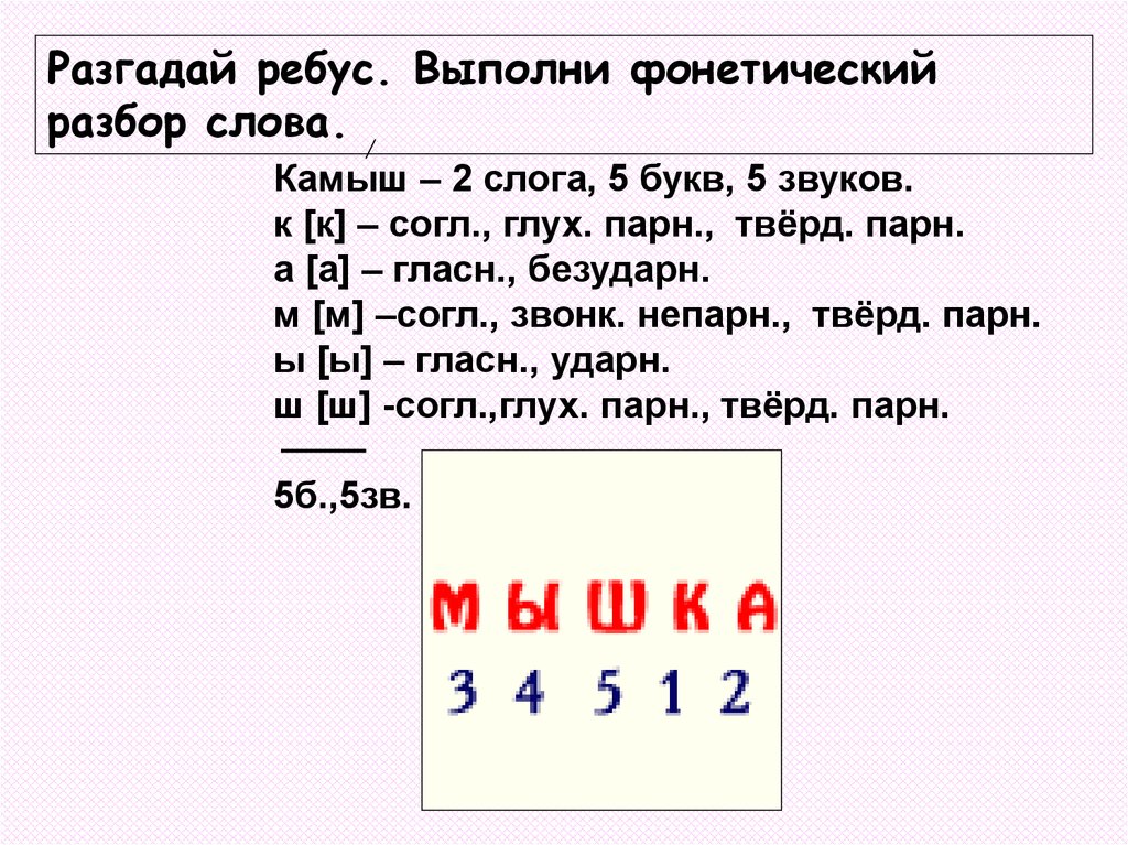 Звук фонетический разбор. Разбор слова по звукам и буквам. Звука буквы разбор слова. Разбор слова на звуки. Буква звуквенный анализ.