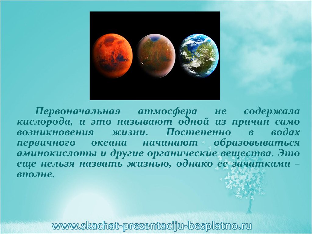 Первичный океан был. Развитие жизни на земле. Первоначальная атмосфера земли была. Зарождение жизни благодаря Луне. Первичный океан земли.