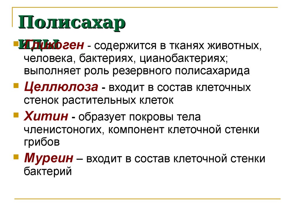 Растительная клетка хитин. Полисахариды входящие в состав клеточных стенок. Муреин хитин Целлюлоза. Строение и функции полисахаридов растительной клетки. Углеводы в составе клеточной стенки.