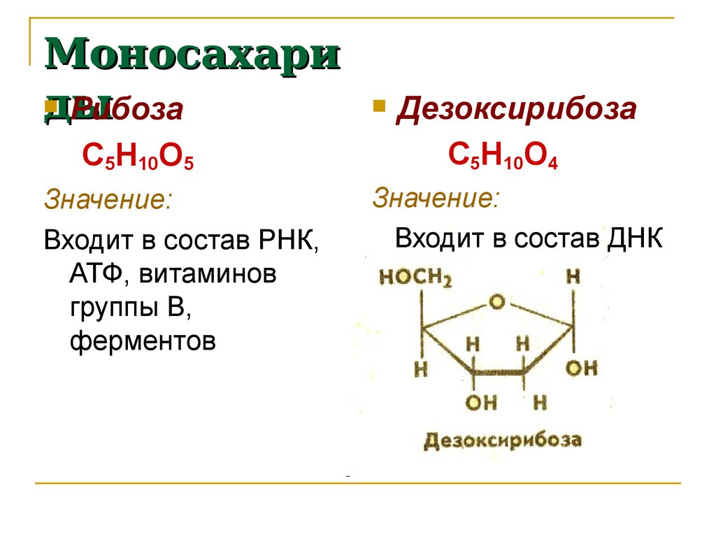 Рибоза характеристика