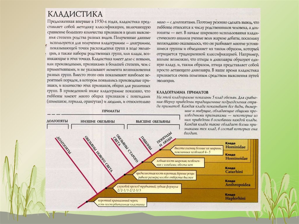 Что значит имеет прикладное значение?.