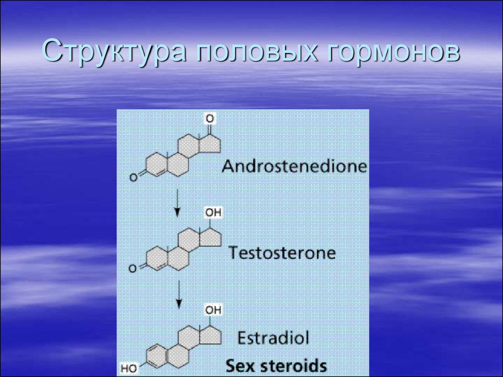 Полов гормону. Структура половых гормонов. Андростендион гормон. Половые гормоны андростендион. Андростендион структура.