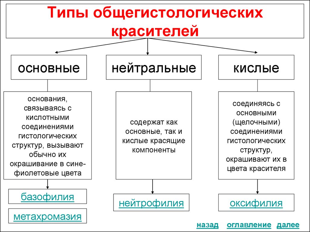 Назовите примеры основных. Методы окрашивания гистологических препаратов. Основные красители в гистологии. Кислые и основные красители гистология. Типы красителей в гистологии.