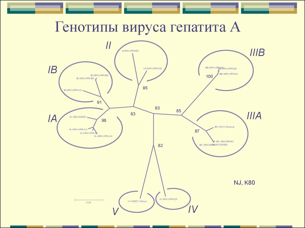 Генотип гепатита с какой самый