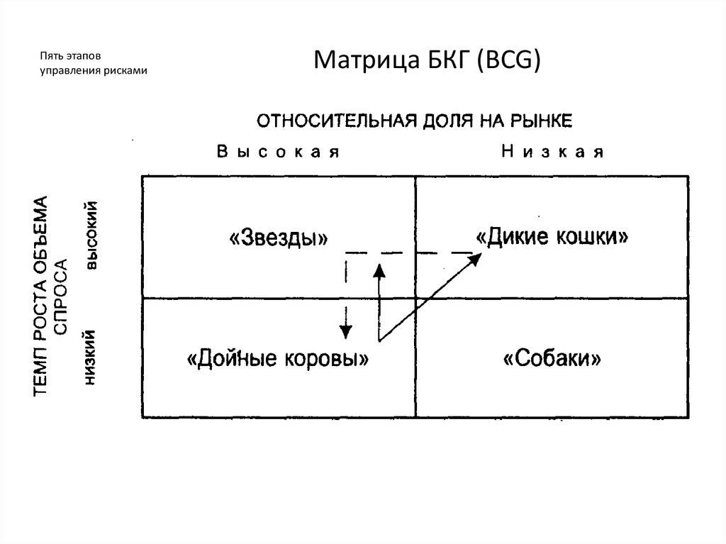 Презентация матрица бкг