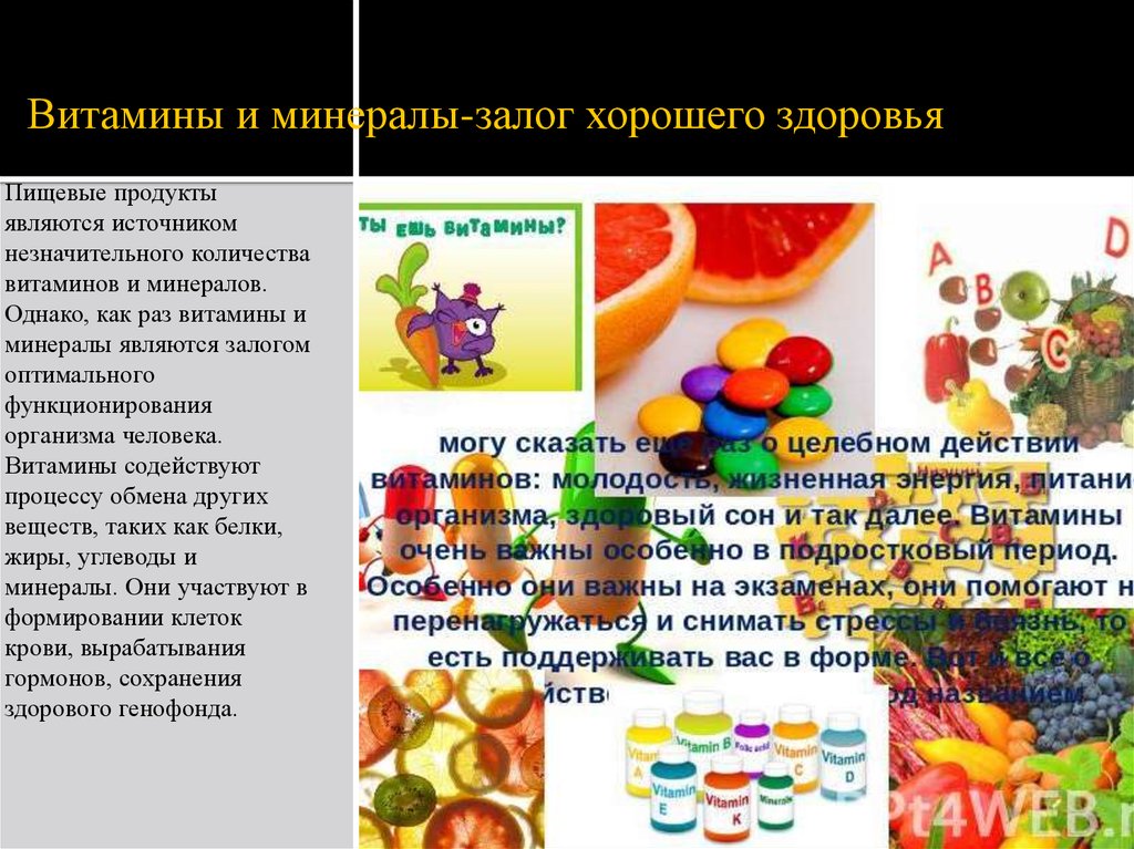 Витамины и минералы проект