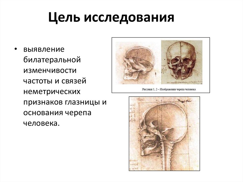 Цель исследования