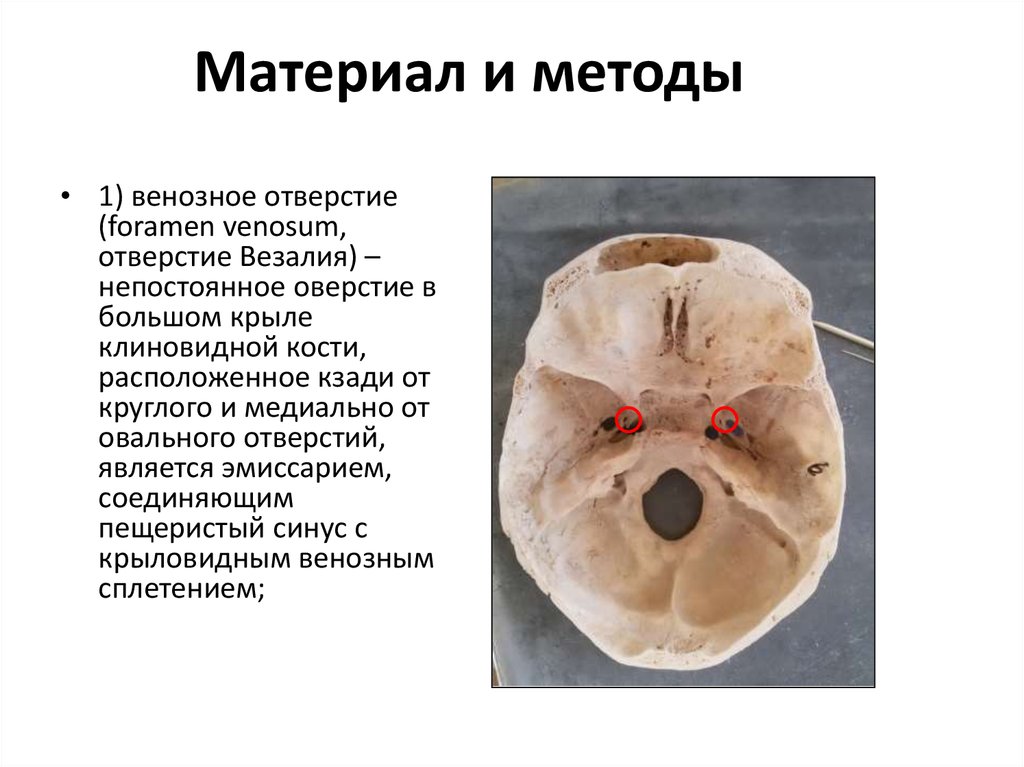 Материал и методы