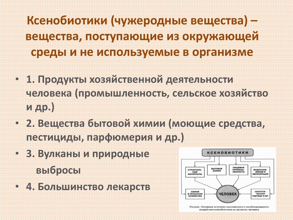 Ксенобиотики. Ксенобиотики примеры. Ксенобиотики влияние на организм. Ксенобиотики это вещества. Ксенобиотики антропогенного происхождения.