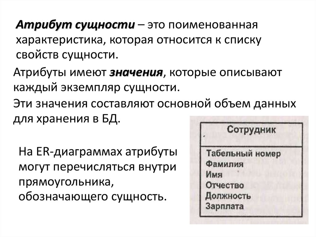 Порядки сущностей. Сущности и атрибуты базы данных. Атрибуты сущности. Атрибут сущности в базе данных. Список сущностей и их атрибутов.