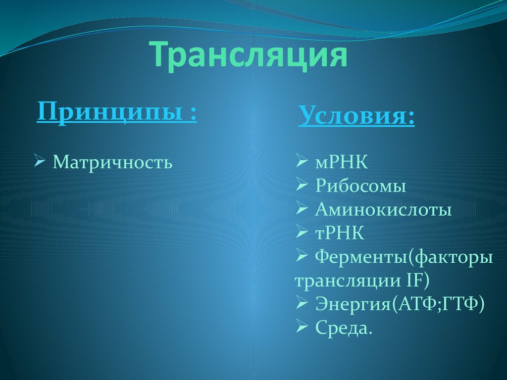 Условия принципа. Факторы трансляции. Условия трансляции. Белковые факторы трансляции. Принципы трансляции.