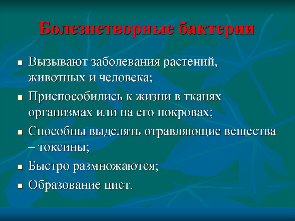 Болезнетворные бактерии презентация