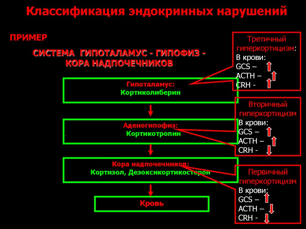 Патофизиология эндокринной системы презентация