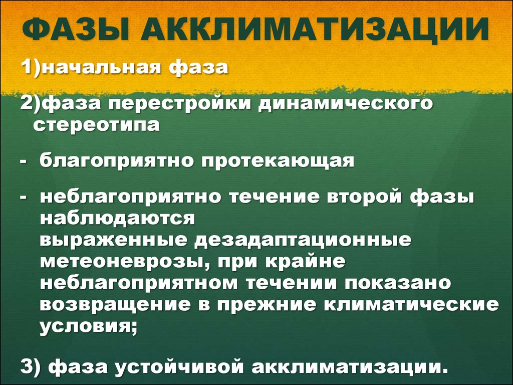 Процессы акклиматизации. Стадии акклиматизации. Фазы акклиматизации. Периодизация процессов акклиматизации.. Начальная фаза акклиматизации.