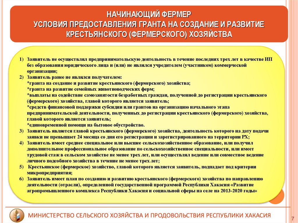 Образец плана развития личного подсобного хозяйства для социального контракта