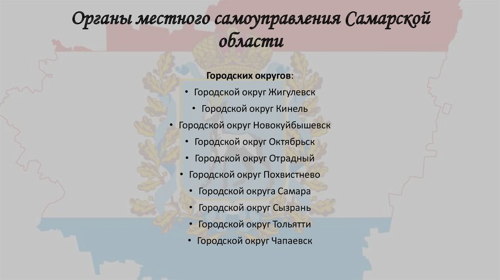 Органы местного самоуправления Самарской области