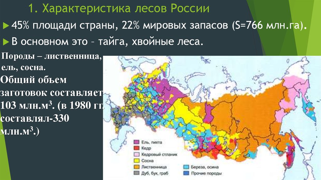 Площадь лесов. Характеристика лесов. Характеристика лесов России. Характеристика лесов России таблица. Леса России характеристика.