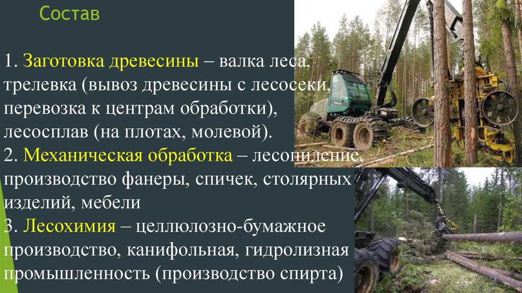 Состав лесного комплекса. Лесные комплексы России презентация. Валка трелевка древесины. Химико-Лесной комплекс презентация. Лесной комплекс доклад.