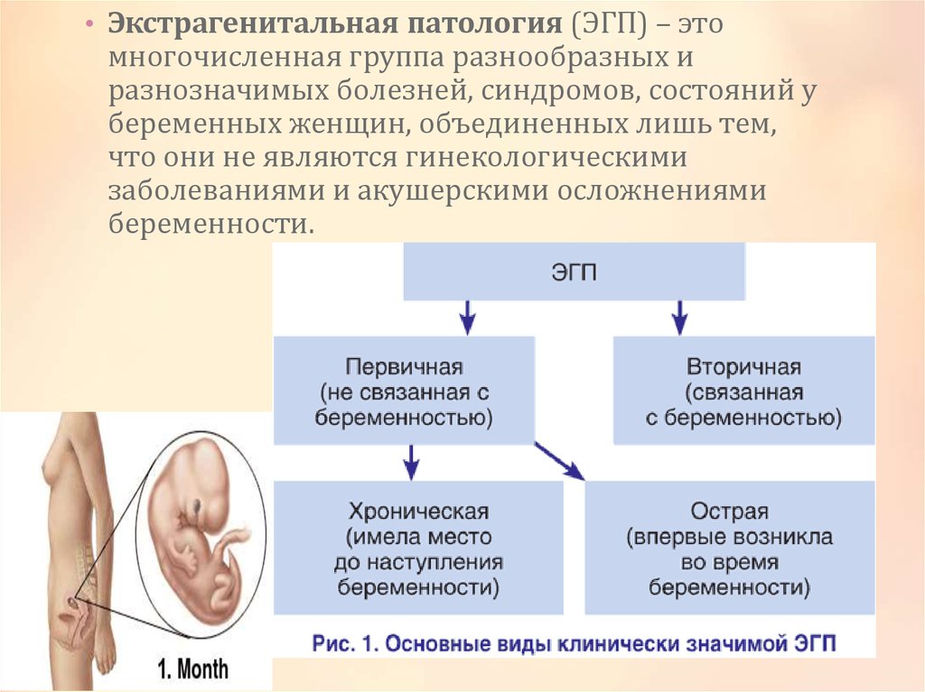 Экстрагенитальные заболевания презентация