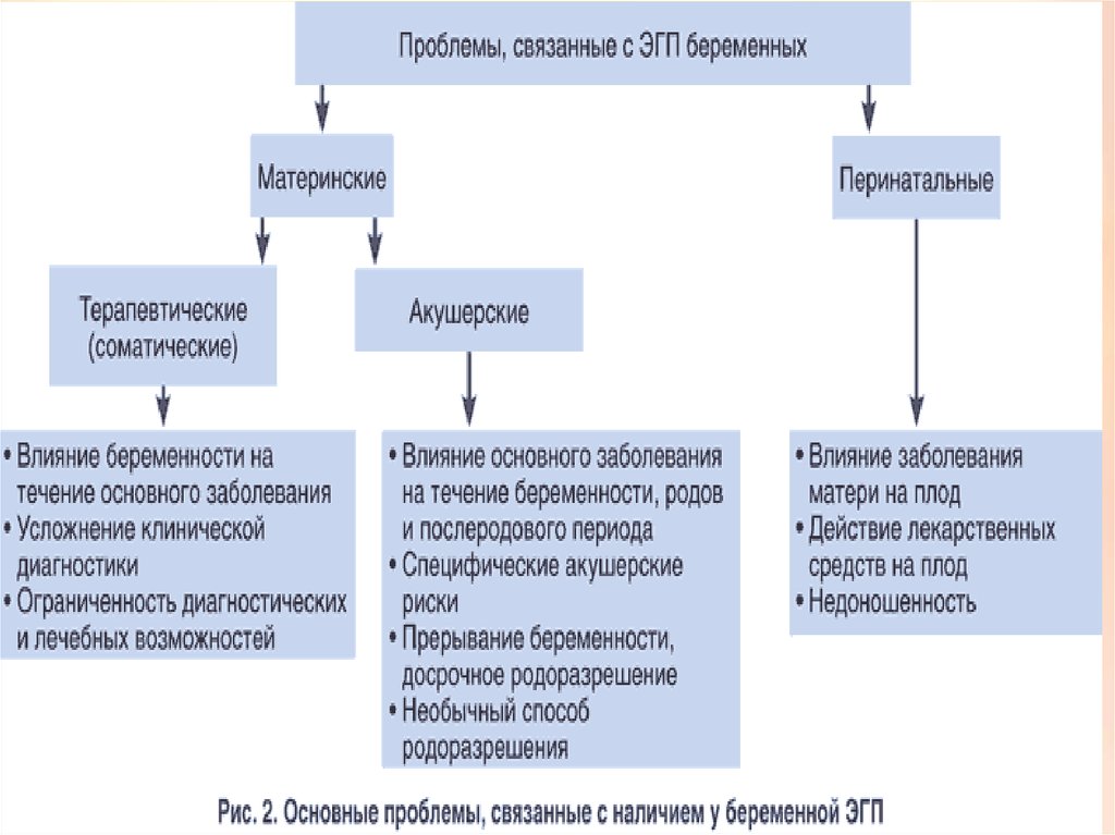 Экстрагенитальные патологии при беременности презентация