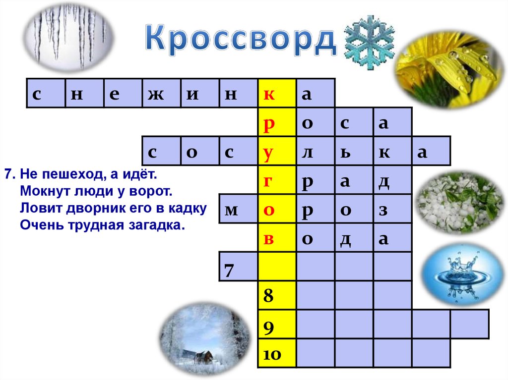 Пешеход сканворд