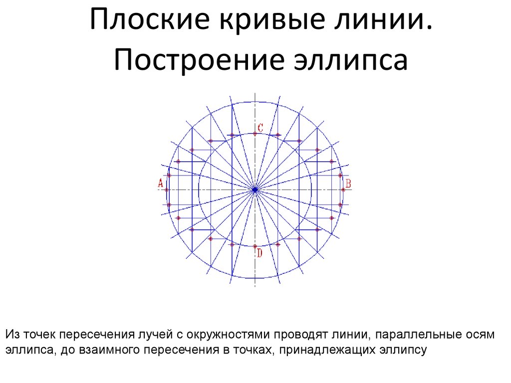 Кривые линии бога