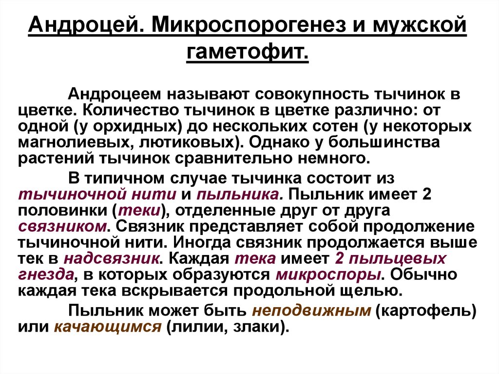 Андроцей. Андроцей микроспорогенез. Андроцей это совокупность. Функции андроцея.