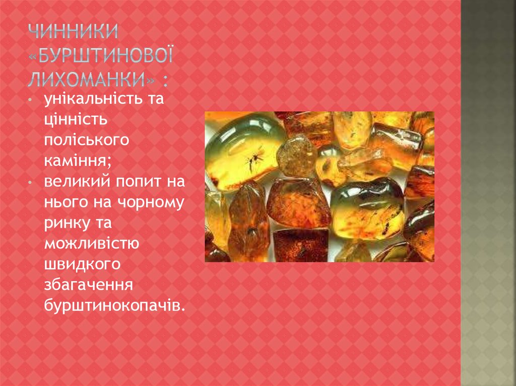 Чинники «бурштинової лихоманки» :