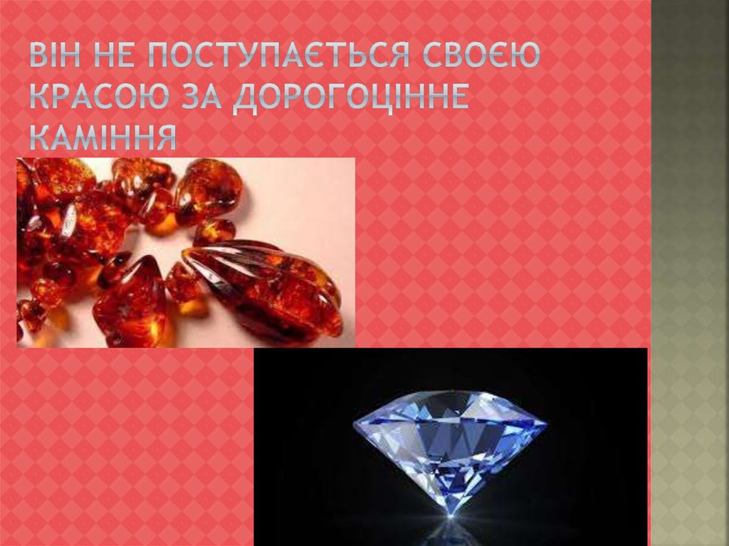 Він не поступається своєю красою за дорогоцінне каміння