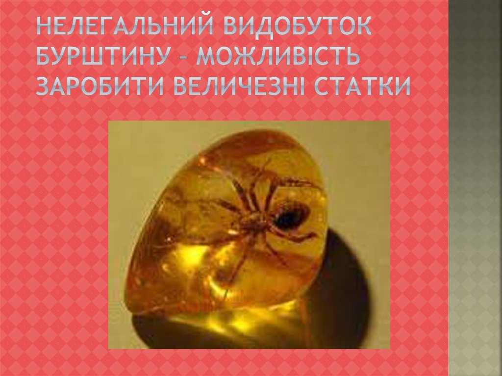 Нелегальний видобуток бурштину – можливість заробити величезні статки