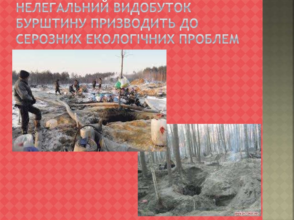 Нелегальний видобуток бурштину призводить до серозних екологічних проблем
