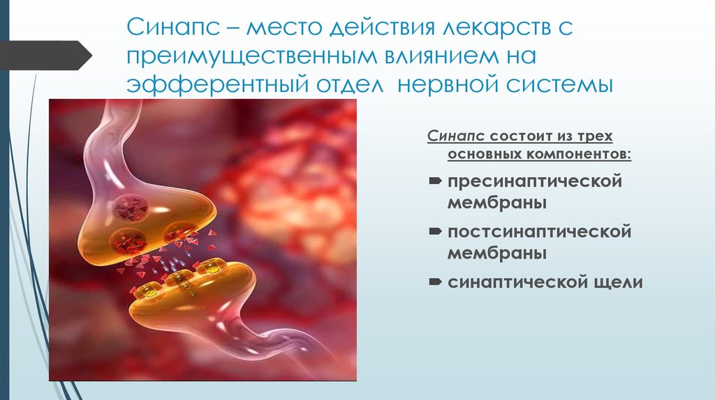 Синапс место. Синапс это место. Лекарства действующие на синапс. Синапс препарат. Влияние лекарств на синапсы.