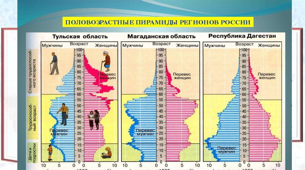 Практическая работа население россии половозрастной состав. Половозрастная пирамида Дагестана 2020. Население Тульской области Половозрастная пирамида. Половозрастная пирамида России 2020. Половозрастные пирамиды регионов России 2020.