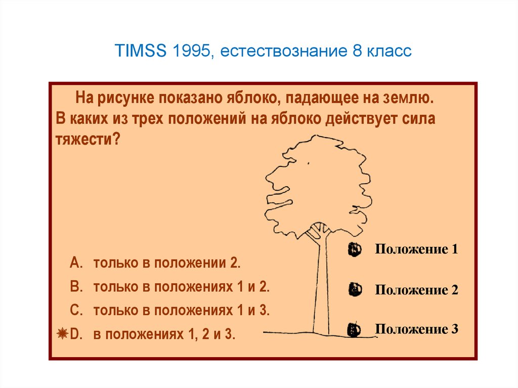 Сила тяжести действует на яблоко. TIMSS Естествознание. TIMSS Естествознание 4 класс. Сила тяжести действует на яблоко в положении. Яблоко падает сила тяжести.