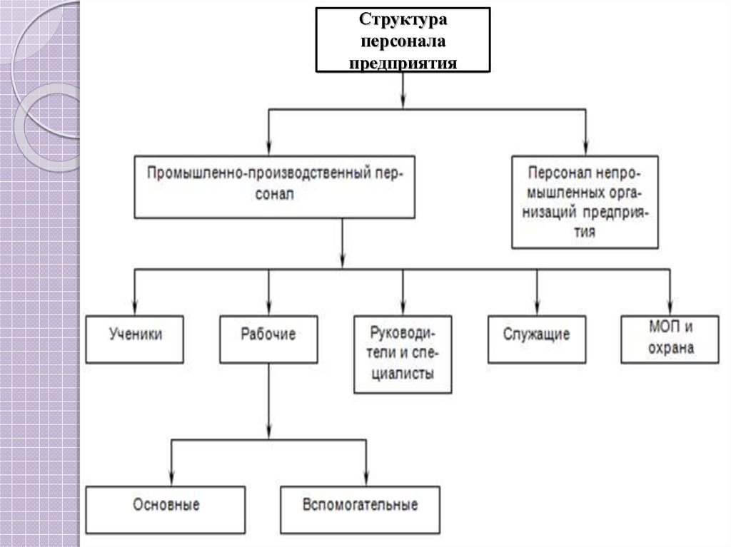 Организационная структура персонала. Структура персонала организации схема. Структура кадров организации. Кадры организации состав структура персонала. Структура персонала предприятия характеризуется.