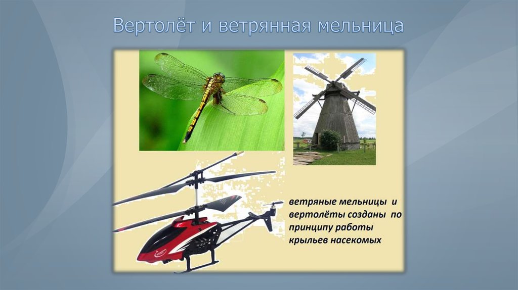 Появились благодаря. Изобретения подсказанные природой. Бионика изобретения природы. Изобретения подсмотренные у природы. Изобретения взятые у природы.