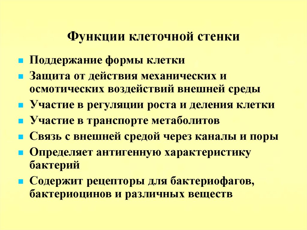 Функция стенки