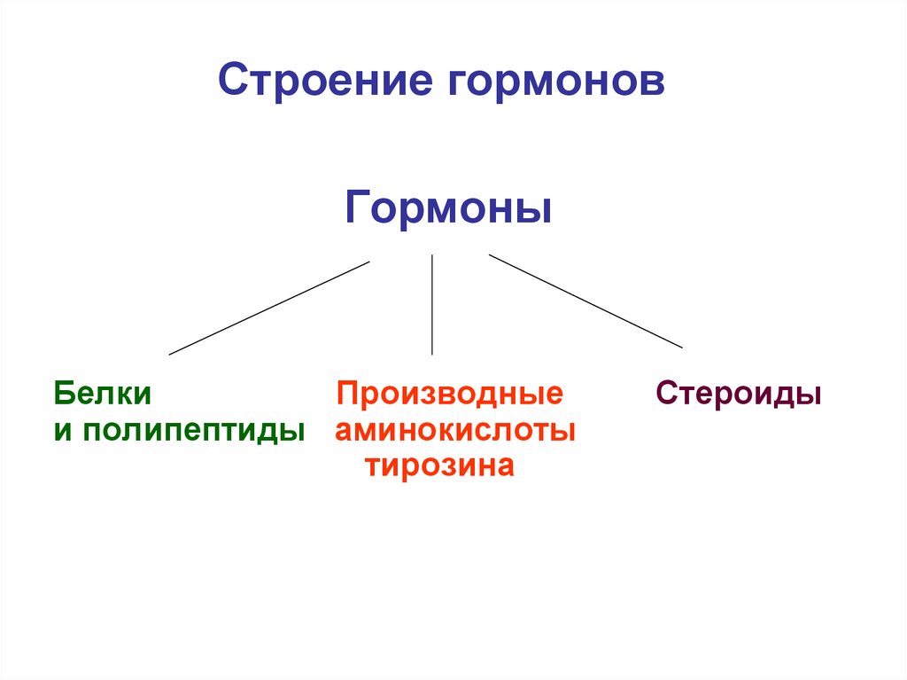 Виды гормонов. Строение гормонов. Химический состав гормонов. Особенности строения гормонов. Строение гормонов химия.