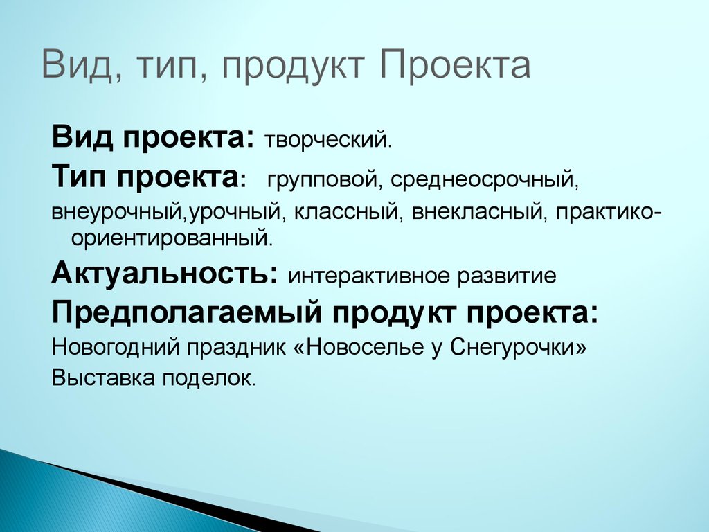 Предполагаемый продукт проекта