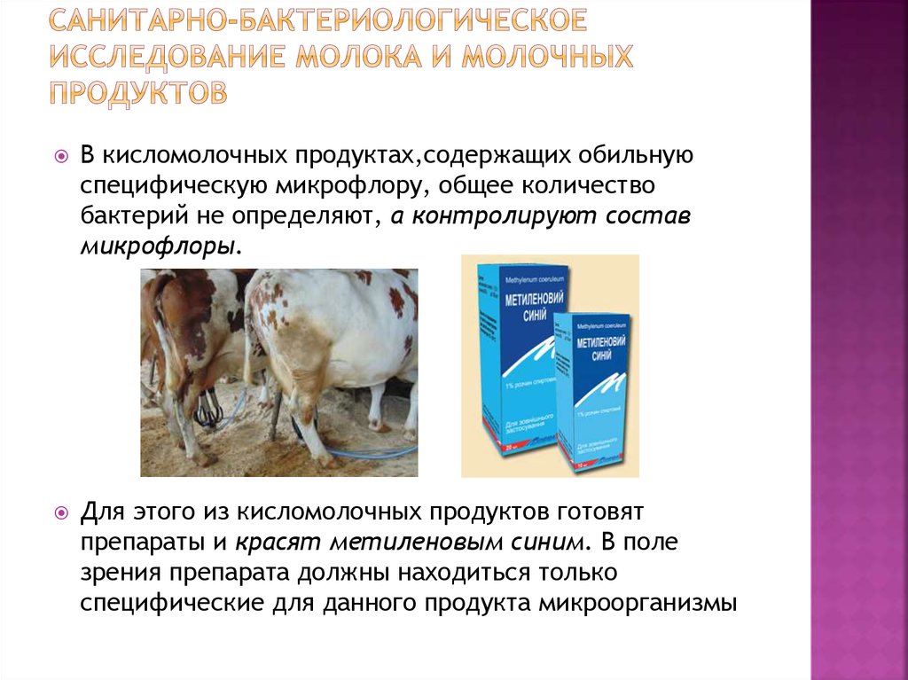 Санитарно-бактериологическое исследование молока и молочных продуктов 
