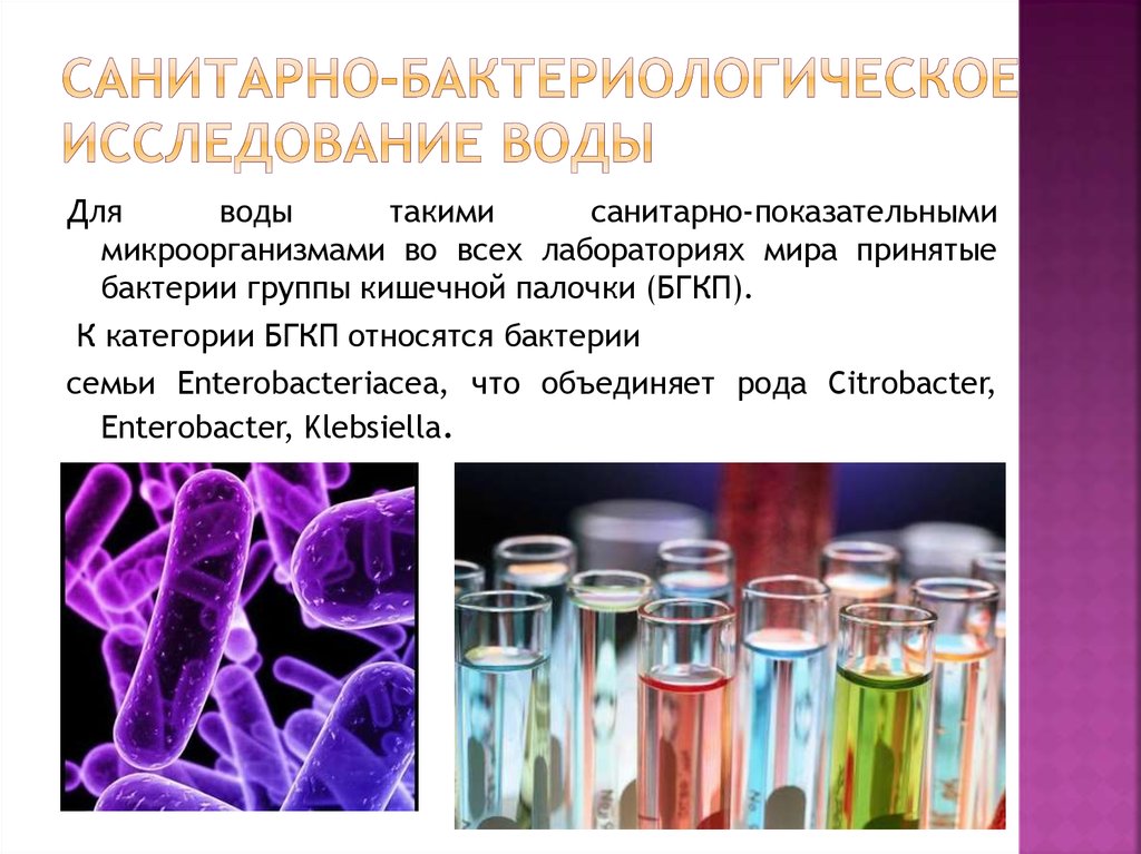 Микроорганизмы питьевой воды. Санитарно-микробиологическое исследование воды микробиология. Исследования воды бактериологическое исследование. Методы бактериологического исследования воды. Санитарно-бактериологическое исследование воды микробиология.