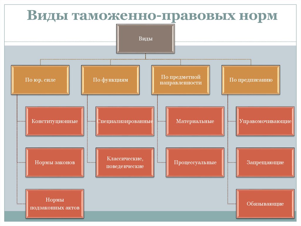 Виды юридических норм